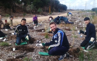 Volunteers from a local English language school help mulch and plant.